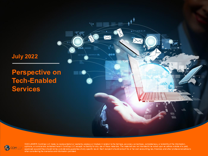 Perspective on Tech-Enabled Services July 2022