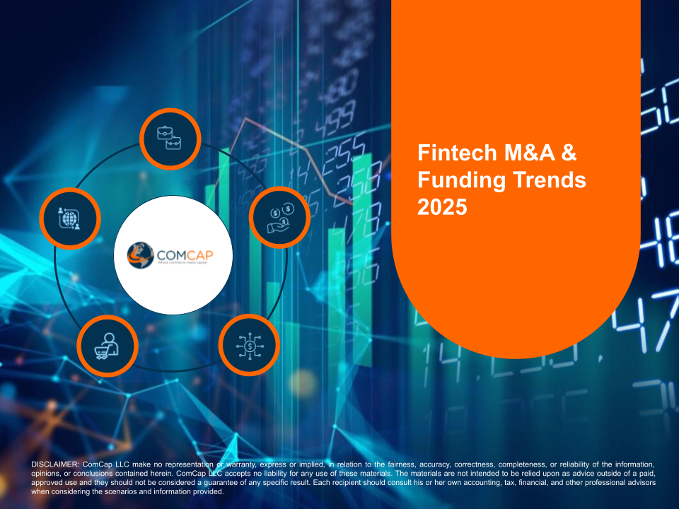 Mini Fintech report